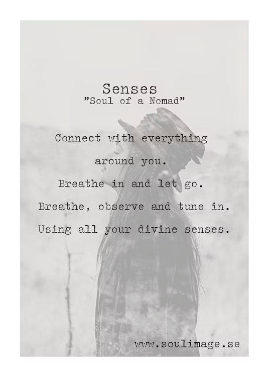 Poster - Senses -50x70